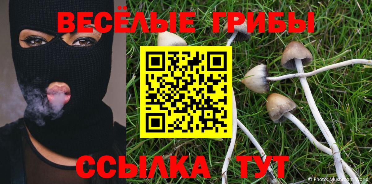 Псилоцибиновые грибы Psilocybine cubensis  Галлюциногенные грибы Psilocybine cubensis  Губаха  Вход с VPN 